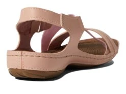 Flexus Lineata -Shoe Specialty Store 612hLcFtIML