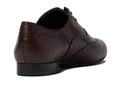 Massimo Matteo Luna Wing Tip 6 Massimo Matteo Luna Wing Tip -Shoe Specialty Store 6145IbDcg4L