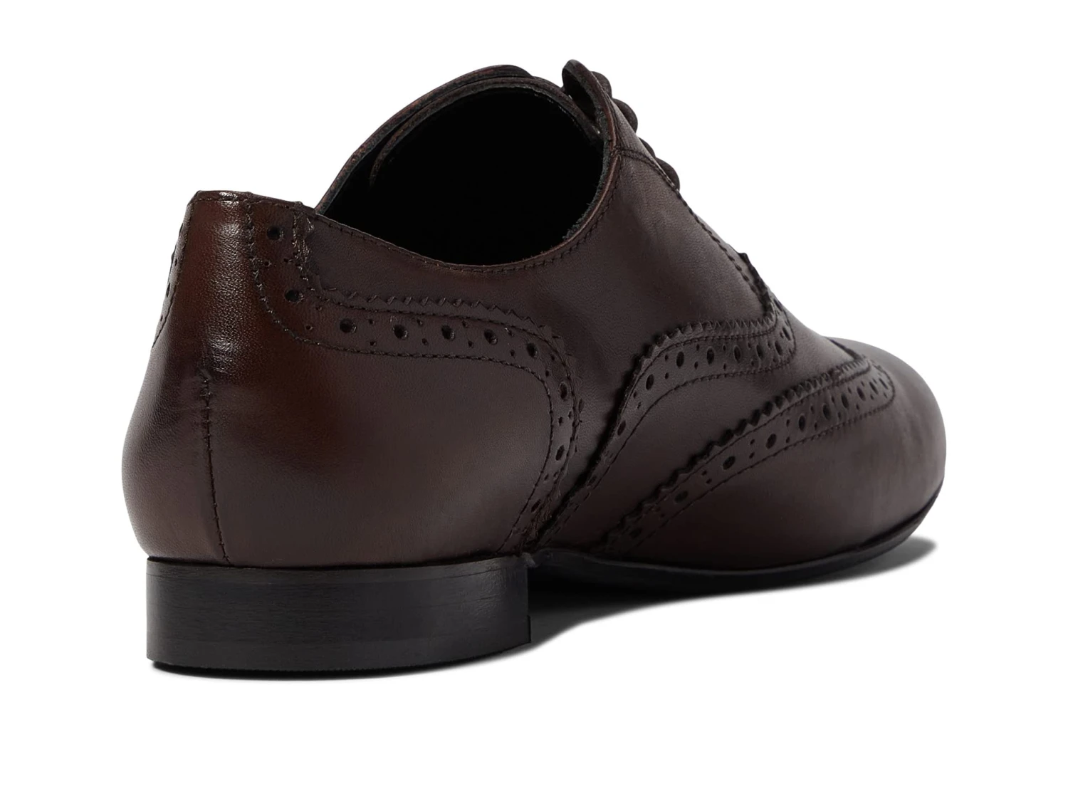 Massimo Matteo Luna Wing Tip Massimo Matteo Luna Wing Tip -Shoe Specialty Store 6145IbDcg4L