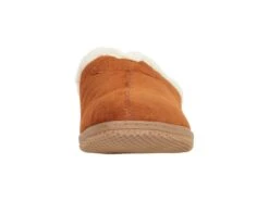 David Tate Jam -Shoe Specialty Store 61HcoLfavmS