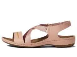 Flexus Lineata -Shoe Specialty Store 61KaMaXTZL