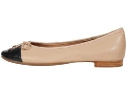 Aerosoles Celia -Shoe Specialty Store 61L9tneyNlL