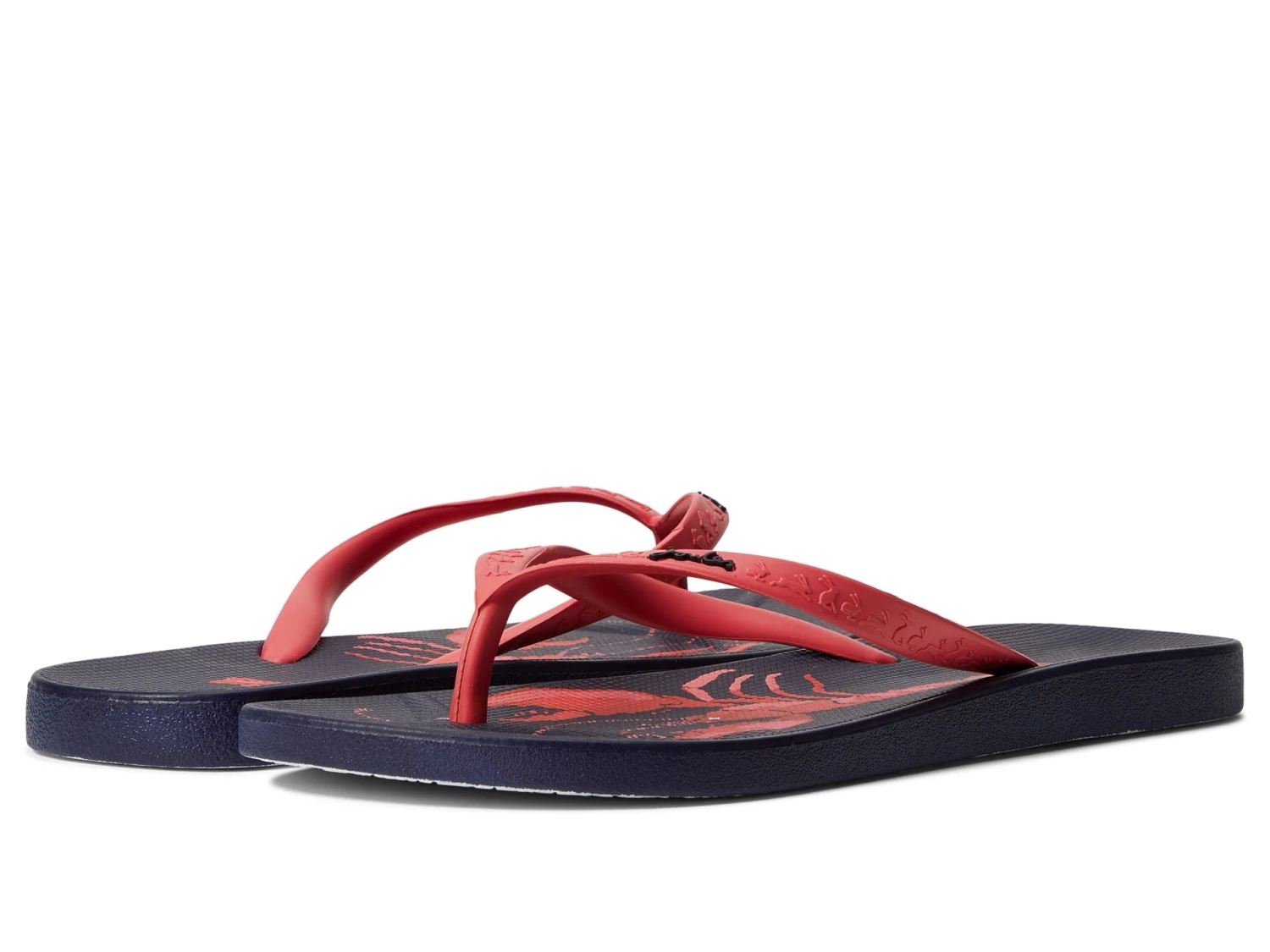 Joules Flip-Flop Joules Flip-Flop -Shoe Specialty Store 61QYz3uhEmL