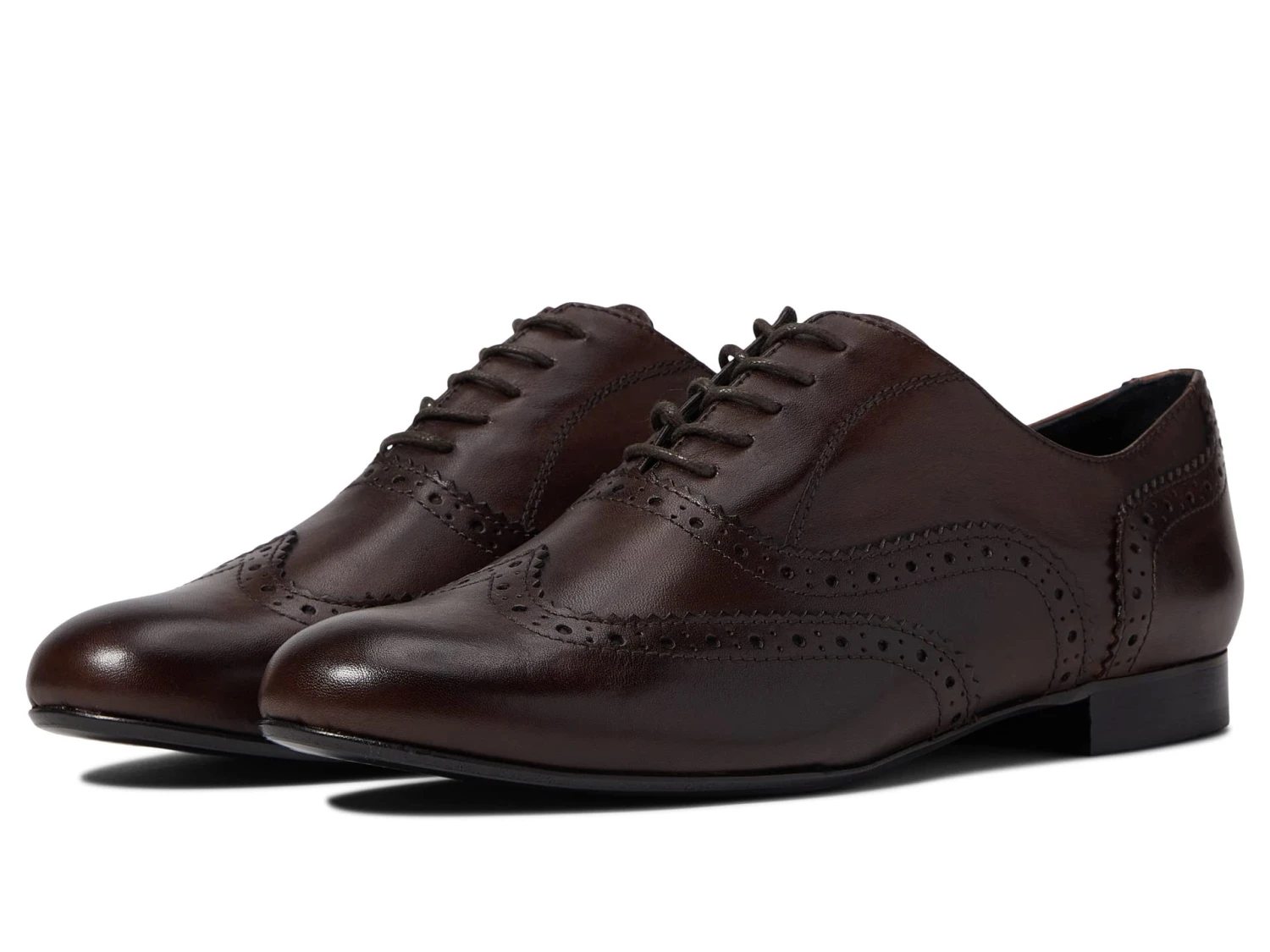 Massimo Matteo Luna Wing Tip Massimo Matteo Luna Wing Tip -Shoe Specialty Store 61TiBzSQXHL