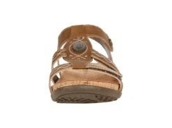 Bearpaw Ridley II 7 Bearpaw Ridley II -Shoe Specialty Store 61bm5oMTu6S