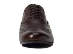 Massimo Matteo Luna Wing Tip 7 Massimo Matteo Luna Wing Tip -Shoe Specialty Store 61h49Z7w7rL