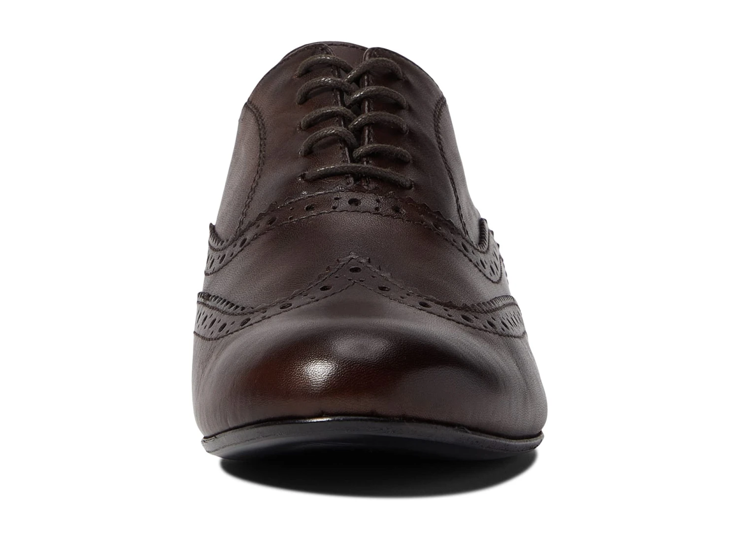 Massimo Matteo Luna Wing Tip Massimo Matteo Luna Wing Tip -Shoe Specialty Store 61h49Z7w7rL