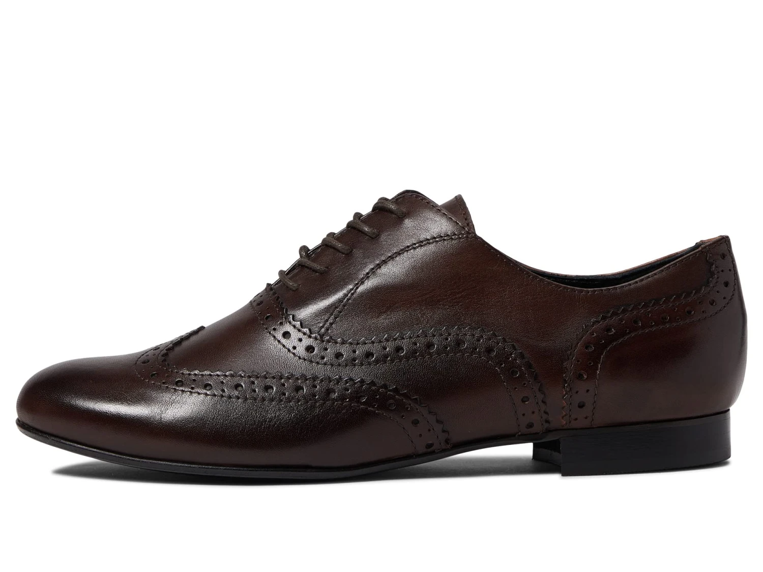 Massimo Matteo Luna Wing Tip Massimo Matteo Luna Wing Tip -Shoe Specialty Store 71 VfdmsjuL