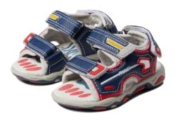 Primigi Kids 19530 (Toddler/Little Kid)