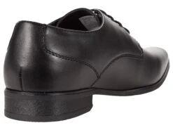 Calvin Klein Brodie 2 6 Calvin Klein Brodie 2 -Shoe Specialty Store 71FnHi92B0L