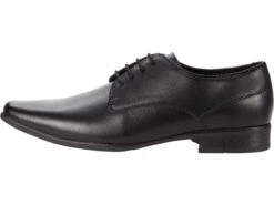 Calvin Klein Brodie 2 5 Calvin Klein Brodie 2 -Shoe Specialty Store 71IwExQuCiL