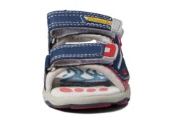 Primigi Kids 19530 (Toddler/Little Kid) -Shoe Specialty Store 71LEVJJcC7L