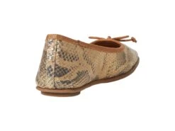 Aerosoles Catalina -Shoe Specialty Store 71n9PRmyknL