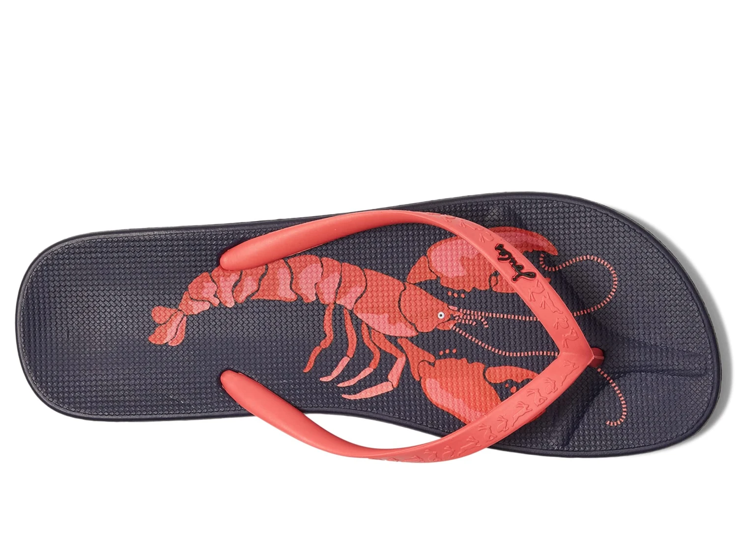 Joules Flip-Flop Joules Flip-Flop -Shoe Specialty Store 81U3HVKmC2L